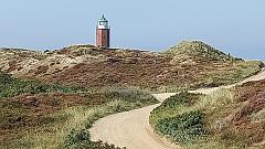 Sylt (84)